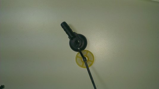 IMAG0336.jpg