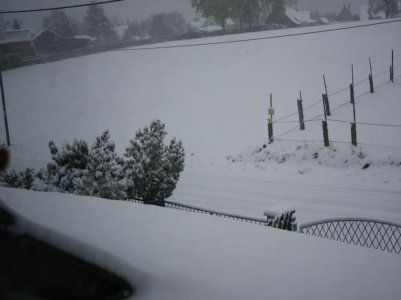 IMG_2315.jpg