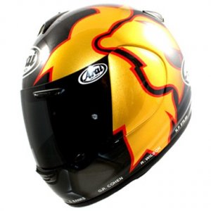 Arai_chaser_leon_haslam_lions_world_cup_01.jpg