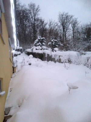 Foto.jpg