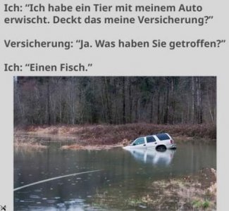 FB_IMG_1658343403531.jpg