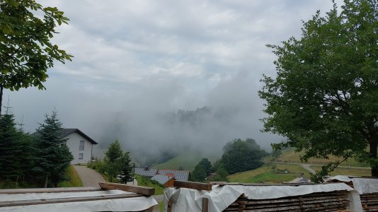 IMG-20220723-WA0004.jpeg