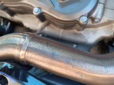 IMG_20220812_131129.jpg IMG_20220812_131129.jpg