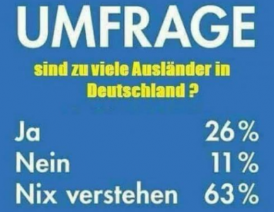 Umfrage.png