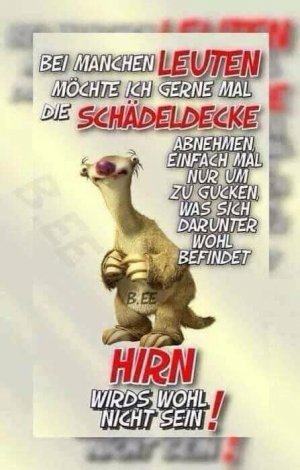 Hirn.jpeg