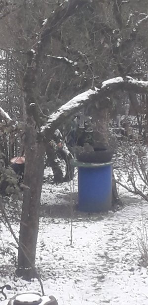 20230124_113901.jpg