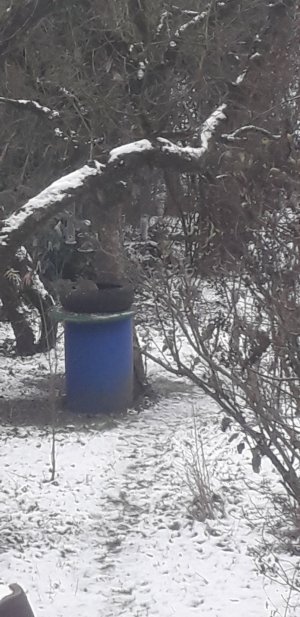 20230124_113851.jpg