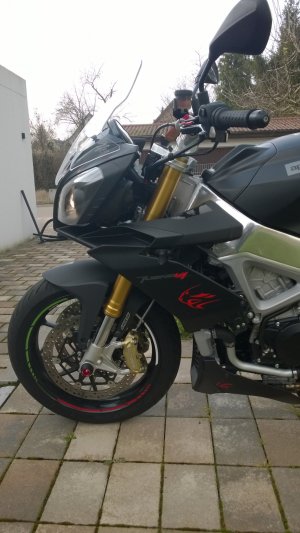 WP_20151205_016.jpg