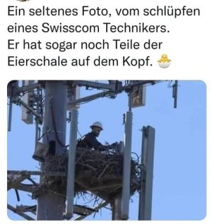 telekom.jpg