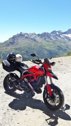 IMG_3281.jpeg IMG_3281.jpeg