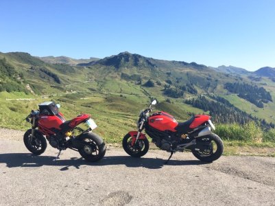 IMG_1272.jpeg IMG_1272.jpeg