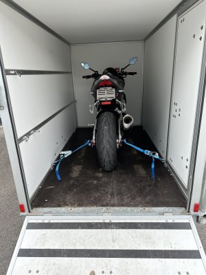 IMG_0444.jpeg IMG_0444.jpeg