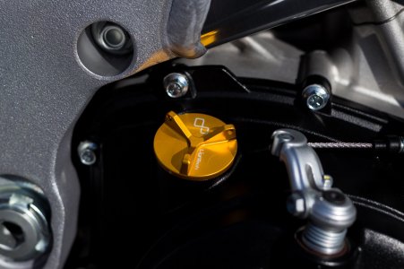 Aprilia Tuono Factory_IMG_4490.jpg