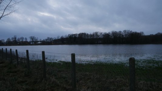 IMG_4654.jpeg