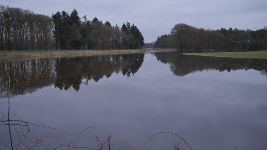 IMG_4645.jpeg