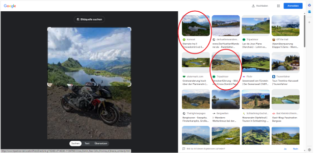 Google Bildersuche.png