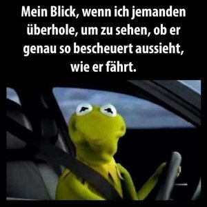 Blick.jpg