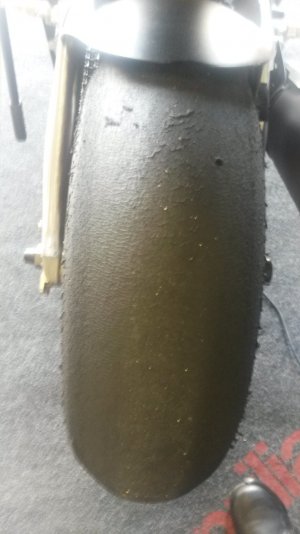 20160324_111753.jpg