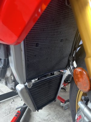 IMG_7765.jpeg