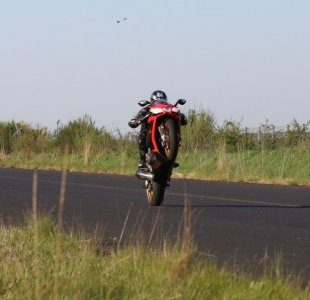 Wheely.JPG
