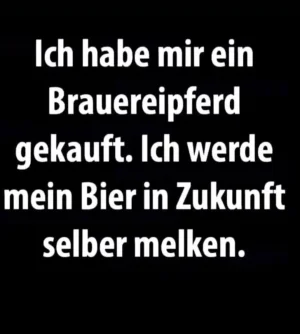 FB_IMG_1734046033782.webp