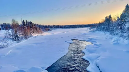 1738868768197.webp