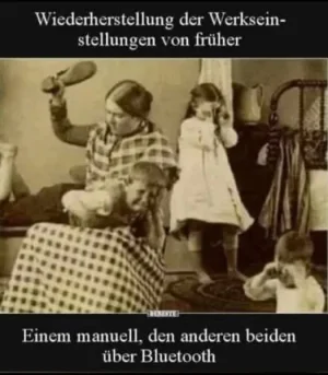 Werkseinstellung.webp
