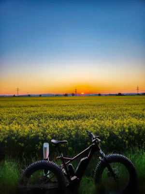20250513_053903.webp