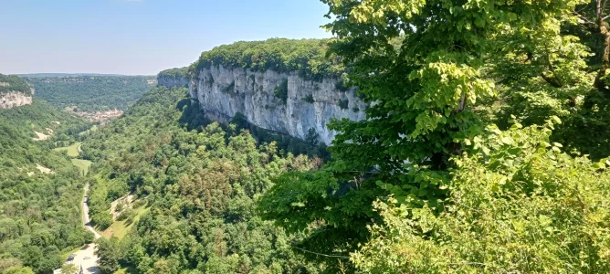 20250619_130329.webp