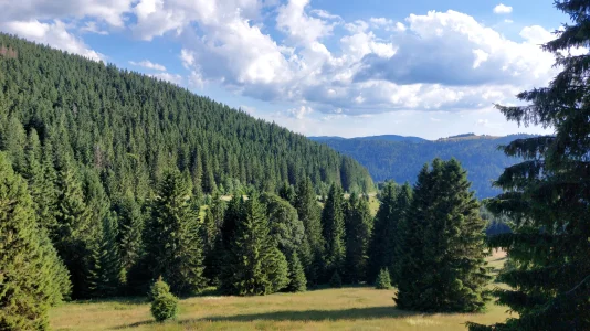 IMG-20250629-WA0022.webp
