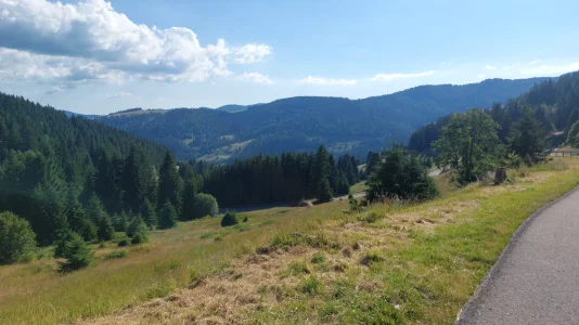 IMG-20250629-WA0019.webp