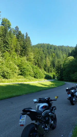 IMG-20250629-WA0015.webp