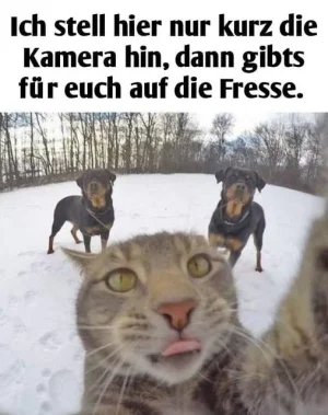 1751328652582.webp