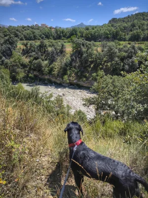 IMG-20250707-WA0058.webp