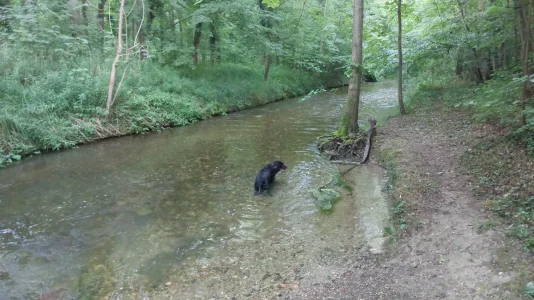 IMG-20250714-WA0009.webp