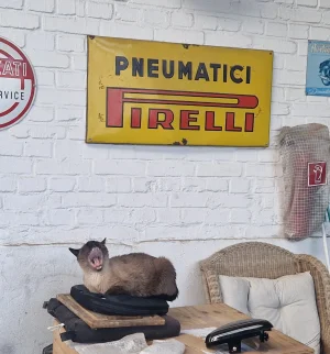 Pirelli.webp