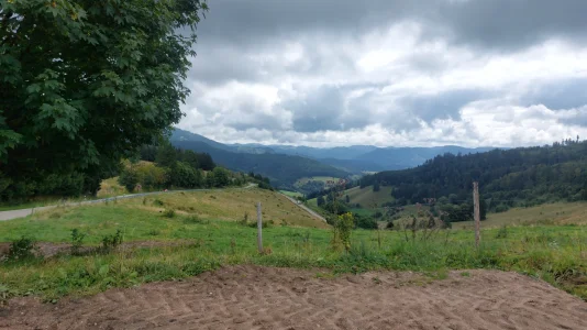 IMG-20250803-WA0000.webp