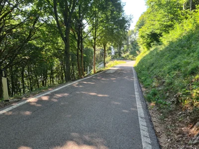 1000007962.webp