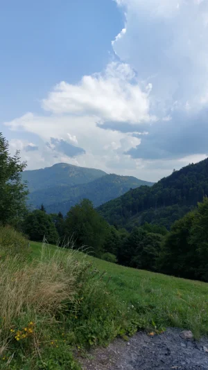 IMG-20250815-WA0021.webp