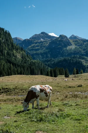 DSCF1805.webp