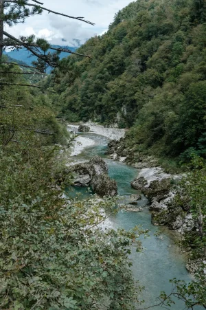 DSCF2196.webp