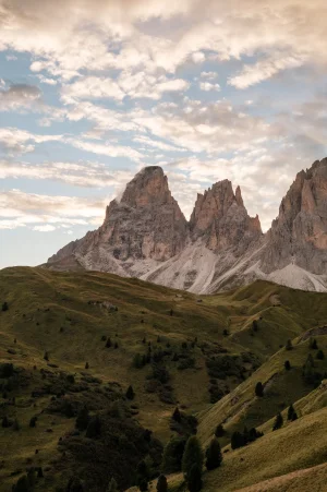 DSCF2397.webp