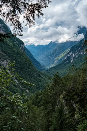 DSCF2229.webp