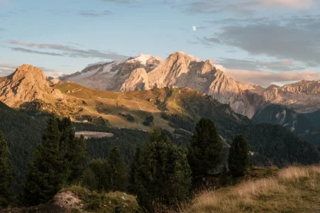 DSCF2389.webp