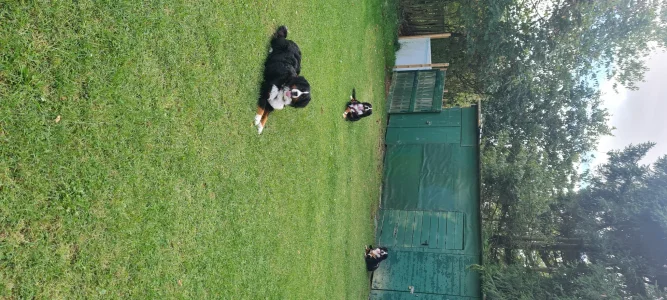 20250914_144046.webp