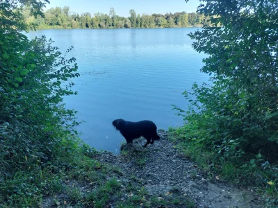 20250918_094123.webp