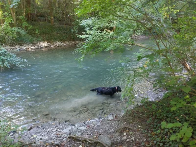 20250918_100636.webp
