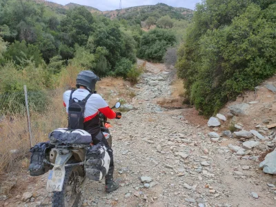 IMG20250927150815.webp IMG20250927150815.webp