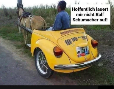 bug rear.webp