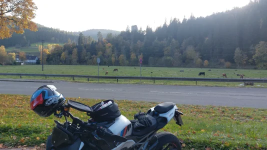 IMG-20251011-WA0048.webp